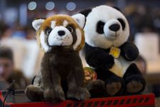 Zilat Organisation de LANPARTY tournois de jeux vidéos en réseau dans le Grand Est et en Alsace, Colmar Esport Show.